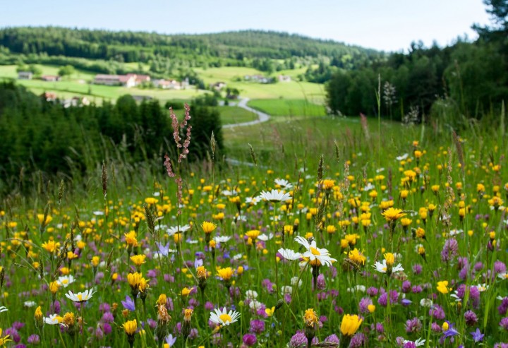 Datenaktualisierung in Europaschutzgebieten