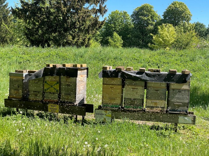 Bienenstöcke